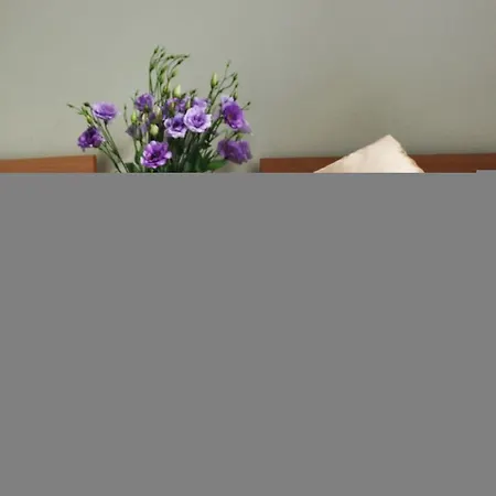 Maly Ξενοδοχείο με διαμερίσματα Krasków